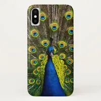 Colorful peacock iPhone x case