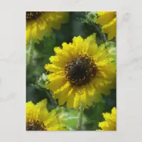 Sunflowers Postcard