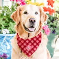 Pink And Red Diagonal Buffalo Plaid Monogram Pet Bandana Collar