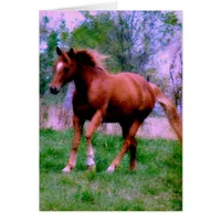 Spring Dreams, Sorrel Trotting