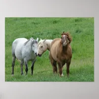 Funny Horses Poster