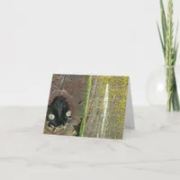 Card - Note - black cat peeking