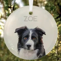 Personalized Glass Pet Christmas Tree Ornament