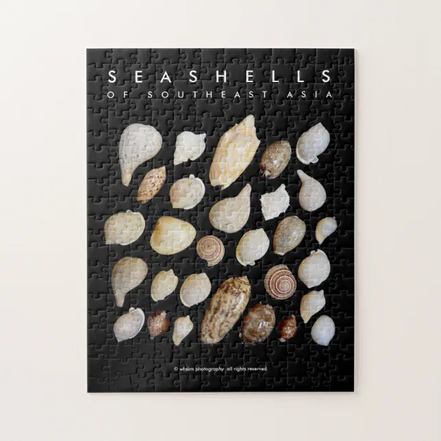 Vintage Exotic Seashells of Southeast Asia Jigsaw Puzzle