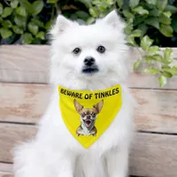 Beware of (Add Dog Name) Personalized Pet Bandana Collar