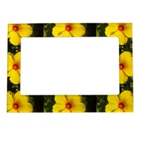 Yellow Hibiscus Flower Magnetic Frame