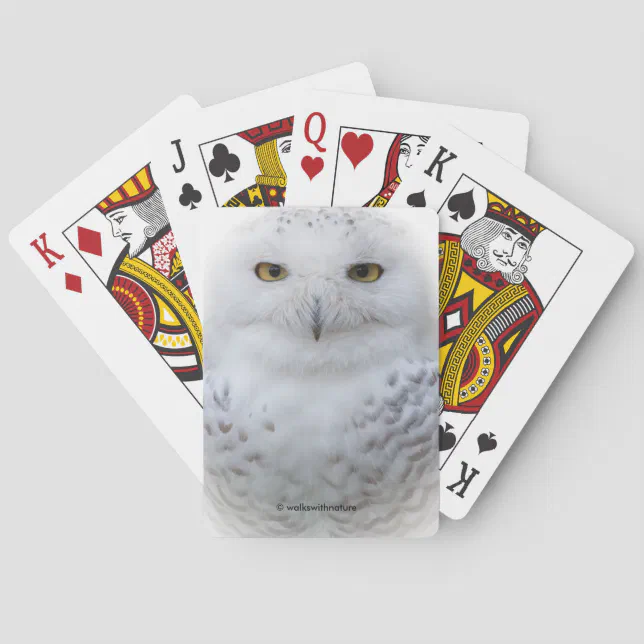 Beautiful, Dreamy and Serene Snowy Owl Poker Cards