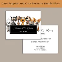 Funny Crazy Cats Dogs Pet Sitter Business Flyer