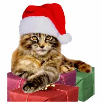 Maine Coon Cat Santa & Gifts 2"x3" Ornament Cutout