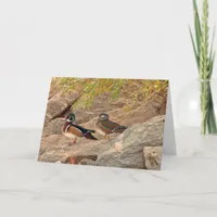 Wood Duck Pair Card