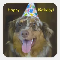 Australian Shepherd Birthday Party Dog Square Sticker