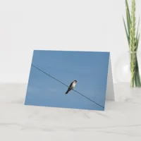Bird on a Wire Photo Card