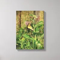 Butterfly and Milkweed Canvas Print