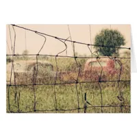 Rural Junkyard, Vechicles Rusting Away in a Field