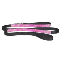 Dog Leash