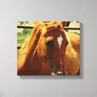 Scotch Canvas Print