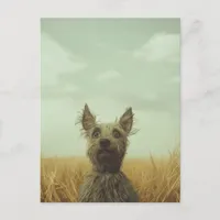 Grey Toto in a Wheat Field Postcard