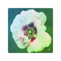 White Rose with dark heart - oil paint Metal Print