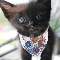 Custom 4th of July Floral  - Red, white & blue Pet Bandana Collar