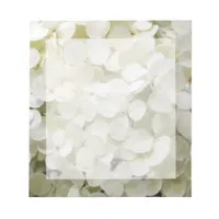 White Hydrangea Floral Notepad
