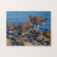 Black Oystercatchers at the Beach Jigsaw Puzzle