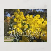 say Thank You with Yellow Wattle Flowers Holiday Postcard