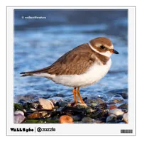 Beautiful Semipalmated Plover at the Beach Wall Decal