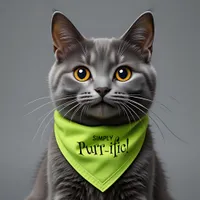 Funny Simply Purr-ific! Pet Bandana Collar