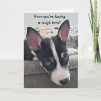 Hang in There, Get Well Card, Cute Puppy Card