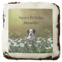 Cute Dalmatian Puppy in Daisies Brownie