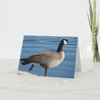 Canada Goose Card
