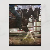 Black and White Western Pinto Grunge Postcard