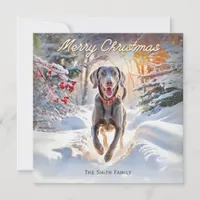 Weimaraner Dog In Snow Merry Christmas Holiday Card