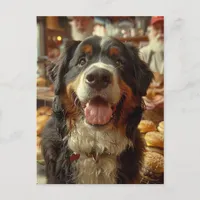 Bernese Mountain Dog in the Cheeseburger Shop Postcard