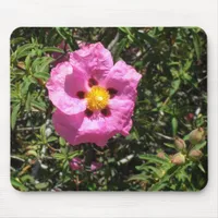 Mousepad - Mexican Rock Rose