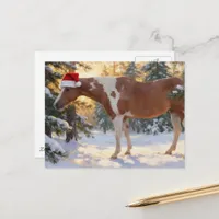 Beautiful Paint Horse Mare Christmas  Postcard