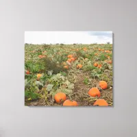 Autumn Pumpkin Patch Photography Canvas Print