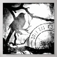 Bird on a Branch, Black and White Poster