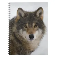 Wild Wolf in Nature Notebook