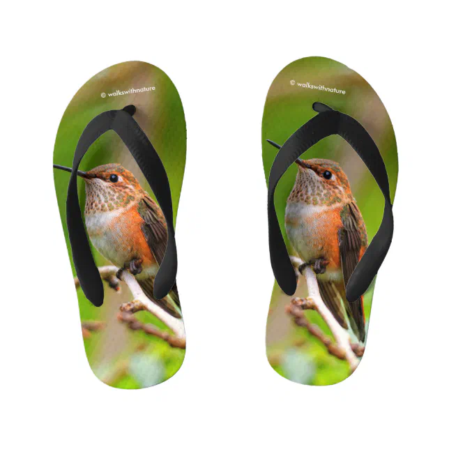 Cute Rufous Hummingbird on Plum Tree Branch Kid's Flip Flops