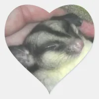 Sugar Glider Sleeping in Blanket Heart Sticker