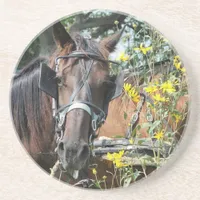 Waiting amish horse coaster