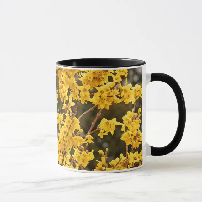 Beautiful Golden Forsythia Shrub Mug