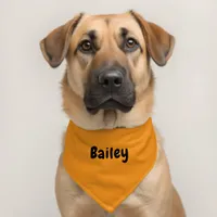 Custom Personalized Name Minimal Light Orange Pet Bandana Collar