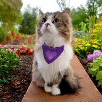 Whimsical Heart Personalized  Pet Bandana Collar