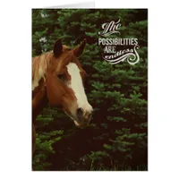 Endless Possibilities Paint Horse Mare