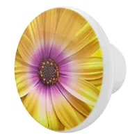 Colorful Medley of African Daisies Flowers Ceramic Knob