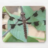 Dragonfly Mouse Pad