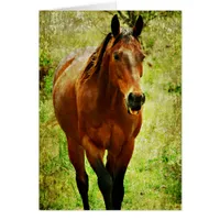 Funny Horse