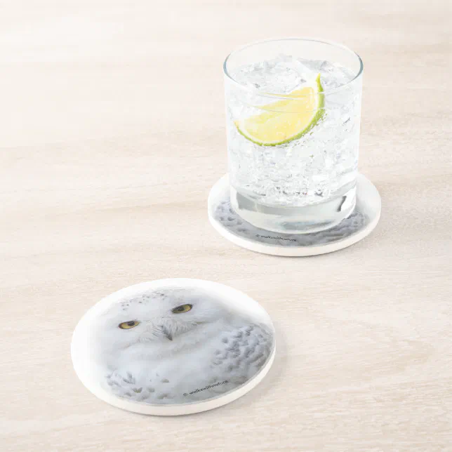 Beautiful, Dreamy and Serene Snowy Owl Coaster